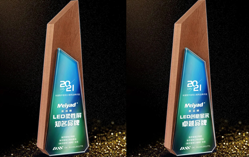 Good News! Meiyad Flexible LED Display Won Two Awards in 2021