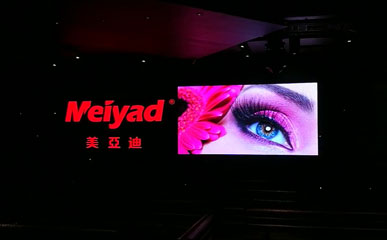 P4 Indoor Full Color LED Wall in Dubai Bar
