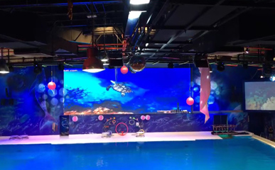 Dubai Aquarium Waterproof P6 Outdoor LED Display