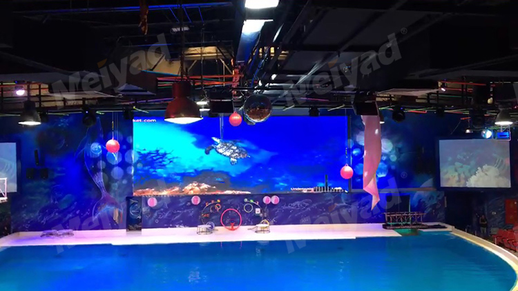 Dubai Aquarium Waterproof P6 Outdoor LED Display