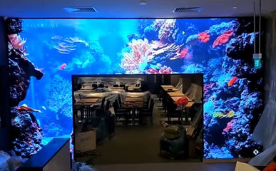 Singapore Restaurant P2.5 Indoor LED Screen