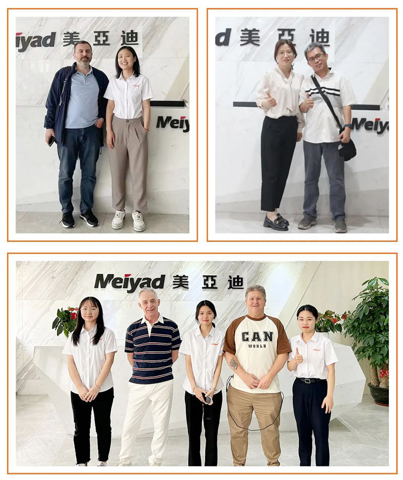 Foreign customers visit Meiyad