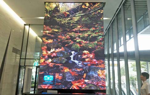 What Is The Difference Between P3 And P4 LED Screen?