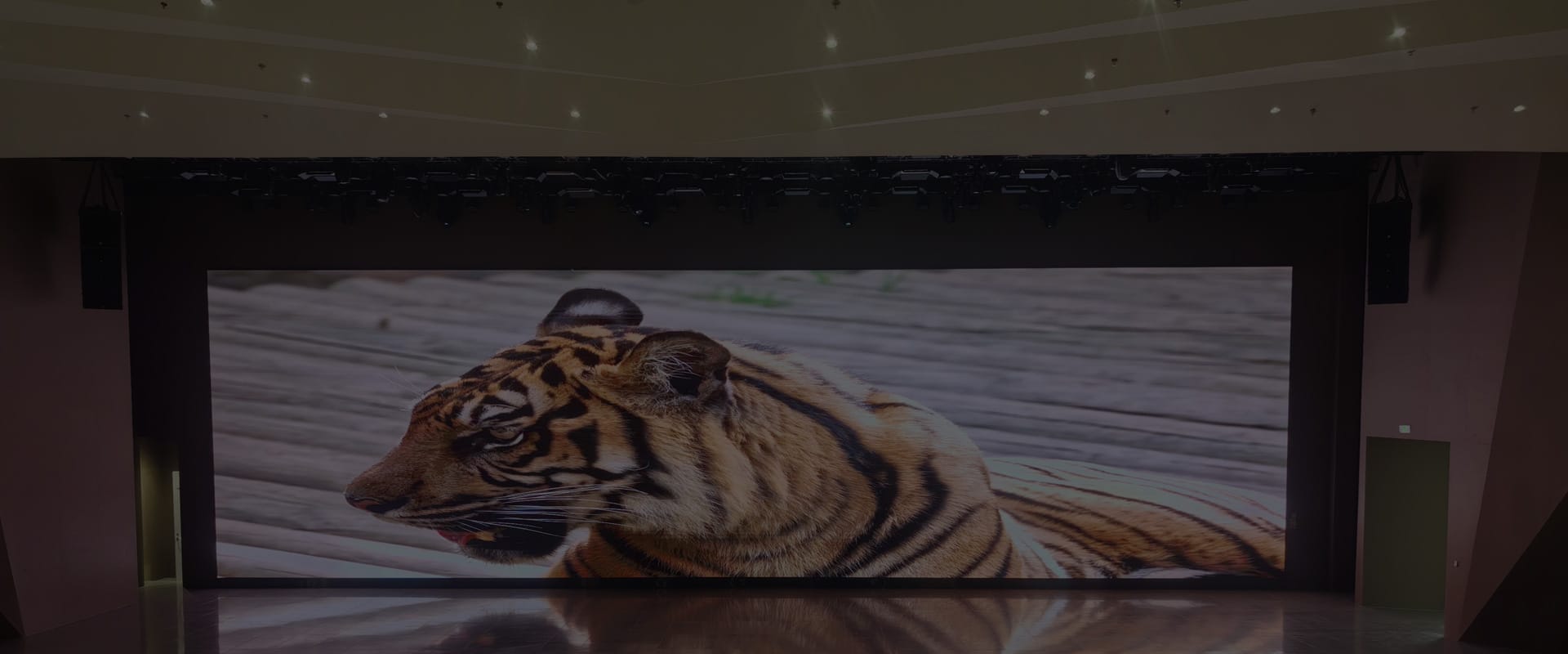 Shenzhen Meiyad Optoelectronics Co., Ltd.