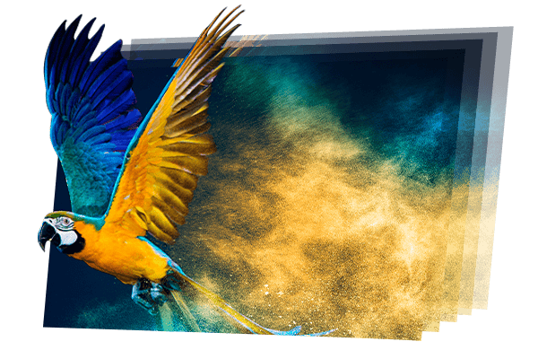 Fine pitch led screen XP series is low brightness high grayscale and high refresh rate 5 Fine pitch led screen XP series is low brightness high grayscale and high refresh rate.png