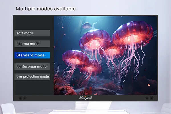 3-Multiple display mode effect switching.webp
