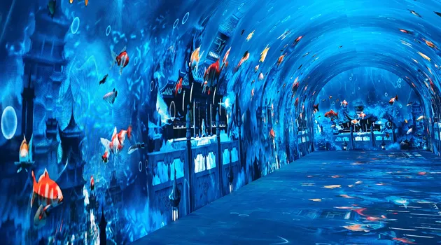 Application of immersive led tunnel-commercial entertainment Application of immersive led tunnel-commercial entertainment.webp