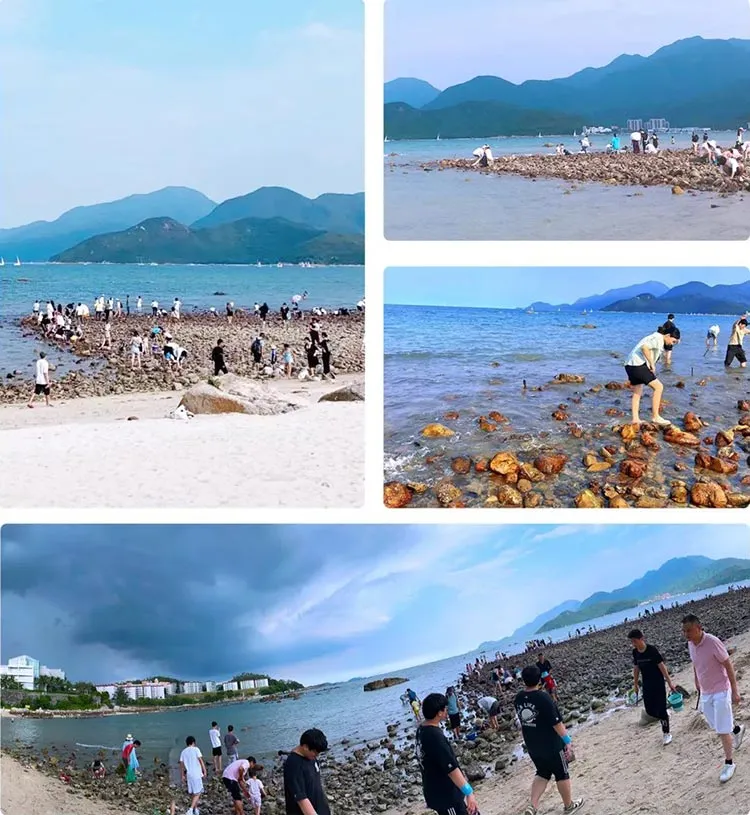 Beachcomb