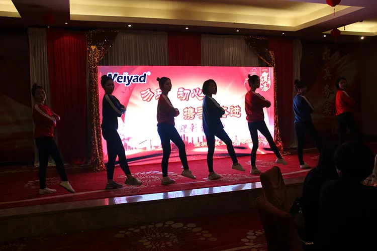 Meiyad 2018 New Year Celebration Was Held Successfully